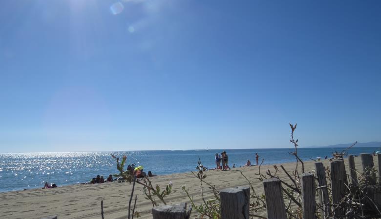 The wild beach