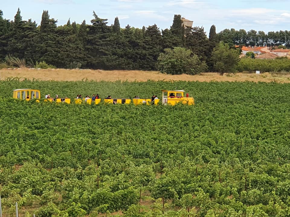 Domaine de la Vigne Barbé